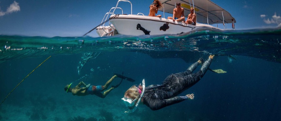 Snorkeler over shallow coral